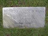 image number mildred_caroline_walling_sturgeon
